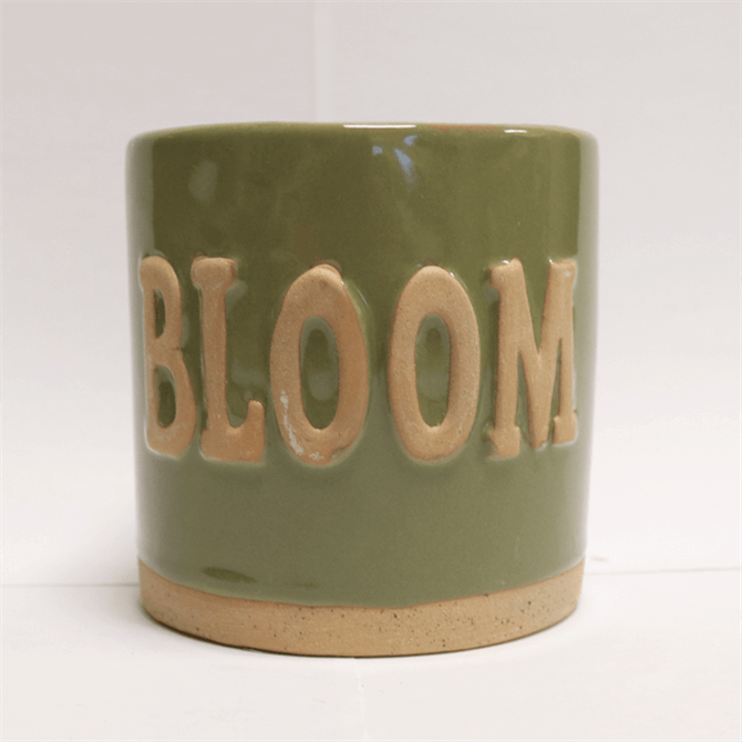 Gisela Graham Bloom Plant Pot